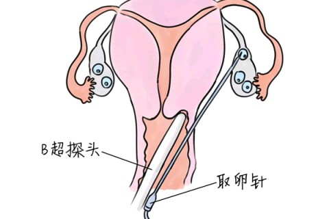 http://nanchang.vdtfzz.com/post/205.html|南昌供卵助孕