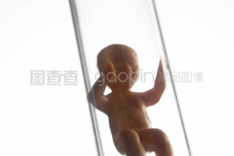 http://nanchang.vdtfzz.com/post/197.html|南昌试管助孕