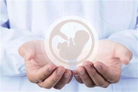 http://nanchang.vdtfzz.com/post/214.html|南昌人工试管